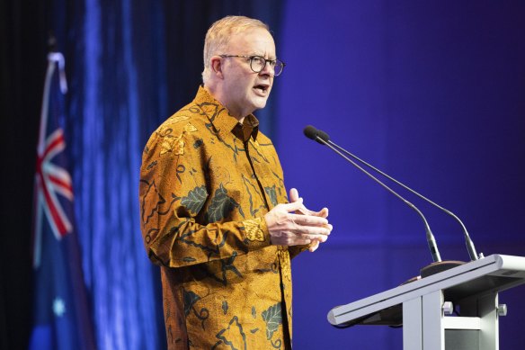 Anthony Albanese, pictured here in Indonesia last year, will release the government’s South-East Asia strategy during a trip to Jakarta on Wednesday.