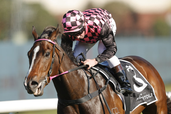 Rothfire takes The Run to The Rose in September.