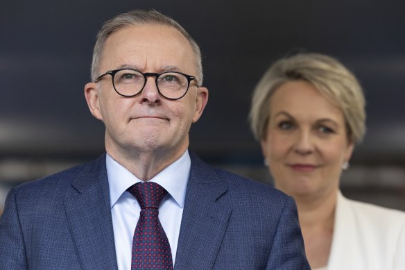 Opposition Leader Anthony Albanese and education spokeswoman Tanya Plibersek campaigning in Sydney yesterday.