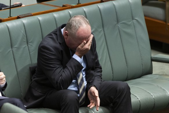 Nationals MP Barnaby Joyce in question time today.