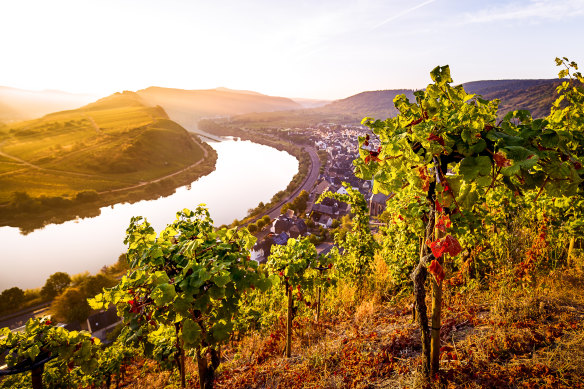The Moselle cycle path is the prettiest way to explore Germany’s oldest wine region.
