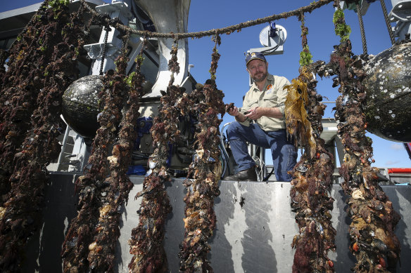 Sam Gordon, managing dIrector of South Coast Mariculture, at the mussel farm in Jervis Bay.