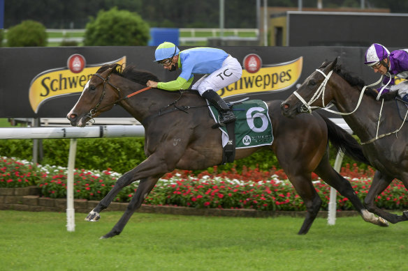Bjorn Baker has brought unbeaten filly Shades Of Rose to take advantage of the prizemoney rise at Rosehill on Saturday.