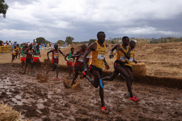 Athletes compete in the Men’s Senior race during the 2023 World Cross Country Championships on Mount Panorama.
