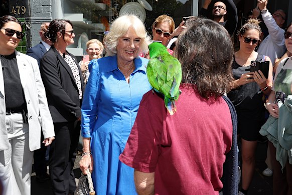 Queen Camilla meets Peter the Bird Man and his parrot.