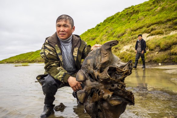 Fragments of a mammoth skeleton were found by local reindeer herders in the Siberian lake a few days ago.