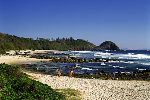 A female surfer, 35, was attacked by a shark at Shelly Beach, Port Macquarie, this morning.