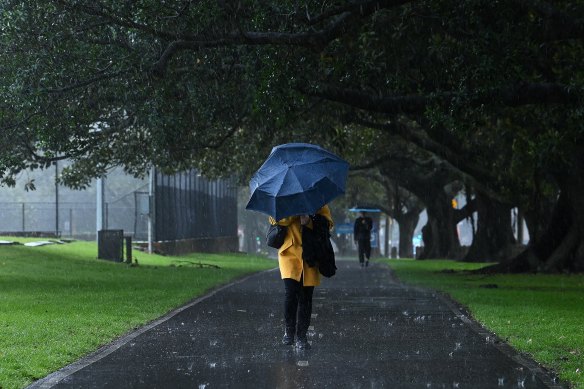 A Sydney woman battles the rain in Moore Park.