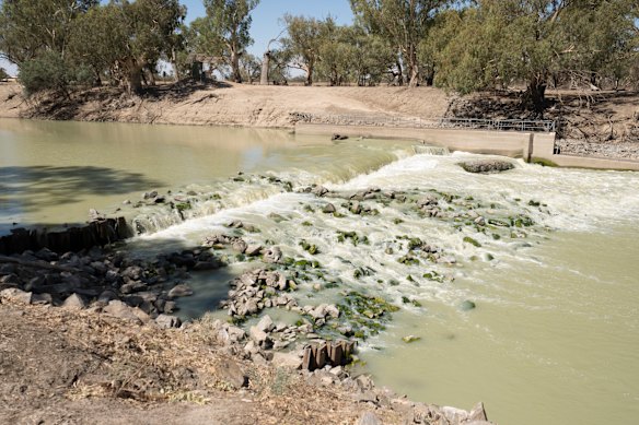 The main stretch of the Baaka-Darling River at Weir 32, downstream of Lake Menindee. 