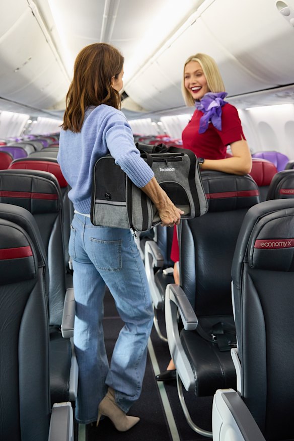 Virgin Australia has extended its trial of allowing pets to fly in the cabin, including now allowing cats on to an additional route.