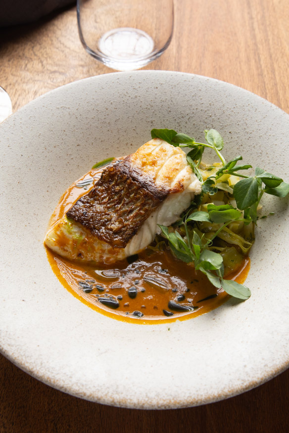 Snapper with lobster sauce.
