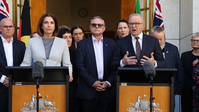 Albanese announces new algorithm rules, shrugs off Trump
