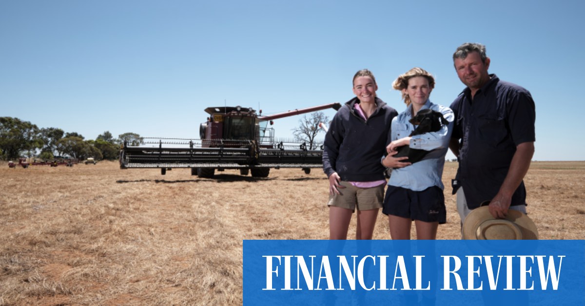 Australia awash with wheat after hard-slog harvest - Vimarsana News