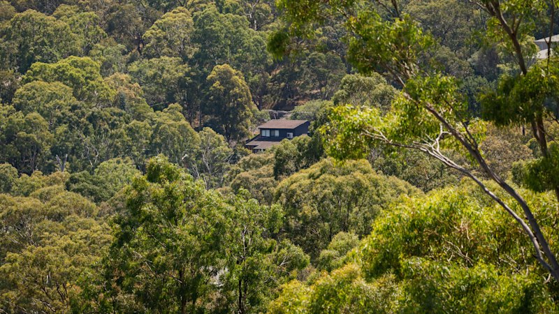 My suburb is a hidden gem. It has just one cafe and no shops