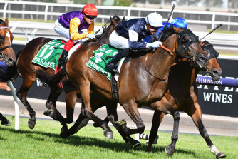 Victorian races will be spectator-free until at least Sunday night.