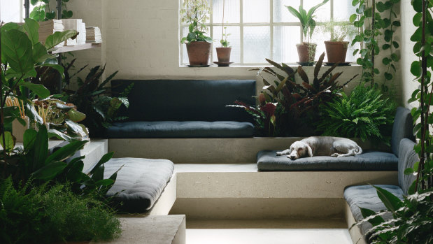 The London base of PSLab with mattress-style cushions to encourage downtime – especially for Wilf the resident dog. 