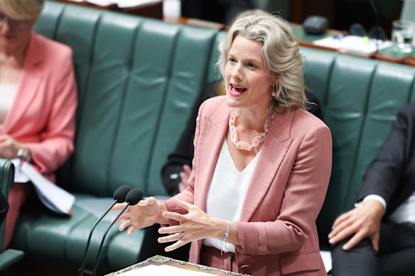 Clare O’Neil says she doesn’t want young women to be discouraged from entering politics.