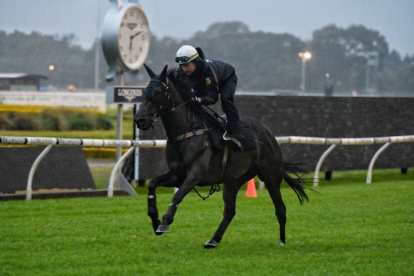 Verry Elleegant has her final workout for the Queen Elizabeth Stakes at a sodden Rosehill on Thursday.