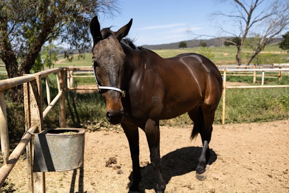 2ba26edabc476f01ea296e2d860fee746dd6f4fb