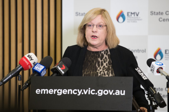 Police and Emergency Services Minister Lisa Neville took leave in February as her condition flared up.