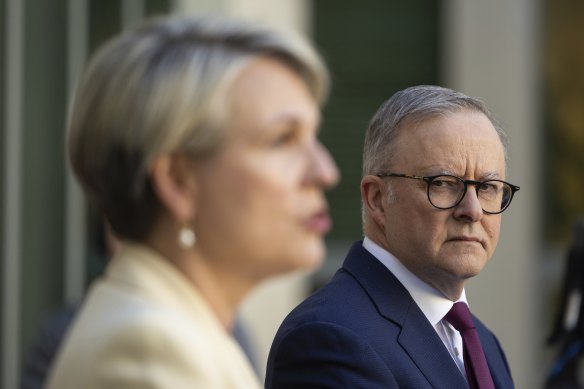 Anthony Albanese has halted an almost successful negotiation between Environment Minister Tanya Plibersek and the Greens.
