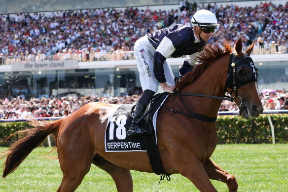 Serpentine on his way to the barriers for the Melbourne Cup.