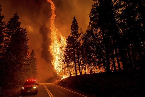 Flames leap from trees as the Dixie Fire crosses highway 89 north of Greenville in California. 