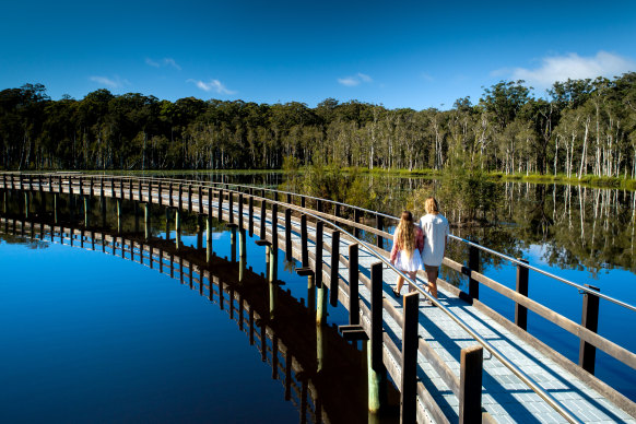 A bush-hemmed boardwalk on the lagoon.