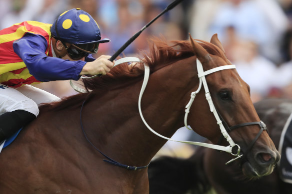 Nature Strip will look to bounce back from a disappointing Everest campaign in next month’s Lightning Stakes at Flemington.