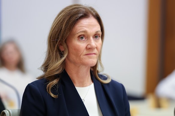 Former KPMG partner Kim Lawry at the committee meeting on Friday.