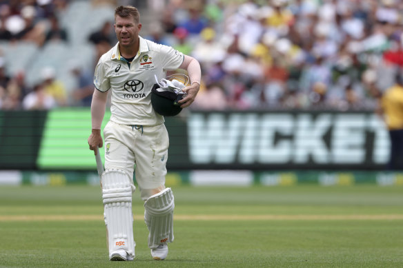 David Warner fell for 38 just before lunch.