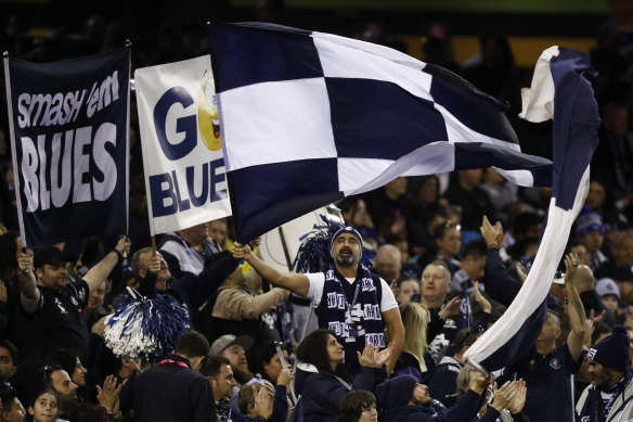 Carlton fans feel the Blues are finally emerging from a prolonged downturn.