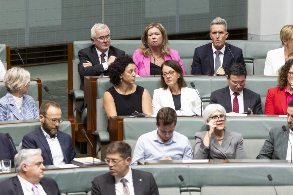 Bridget Archer (top centre in pink jacket) during a vote in the House of Representatives last month.