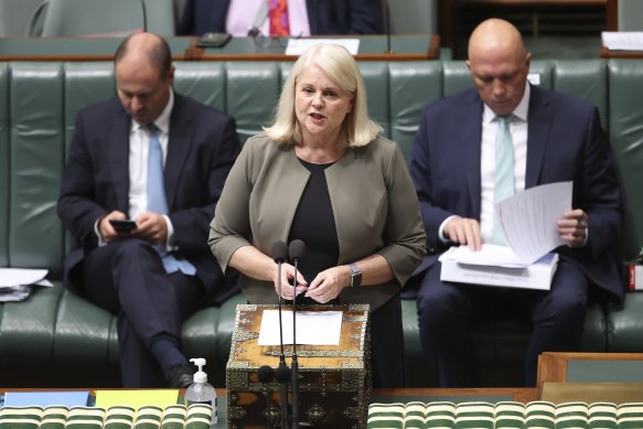 Cabinet minister Karen Andrews has flipped her “anti-quotas” stance because the Liberals hadn’t been successful at getting enough women into parliament.