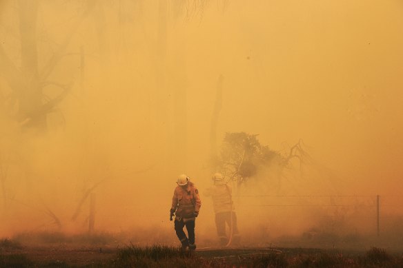 Smoke from the Green Wattle Creek blaze engulfs firefighters at the Inghams Bargo Chicken farm at Tahmoor on Friday.
