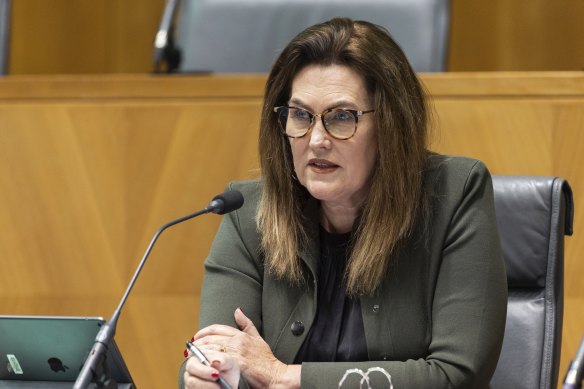 Labor Senator Deborah O’Neill says there are “yawning chasms” in the regulatory oversight of some consultants.
