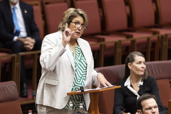 Senator Kerrynne Liddle is the Liberal Party’s only Indigenous MP.