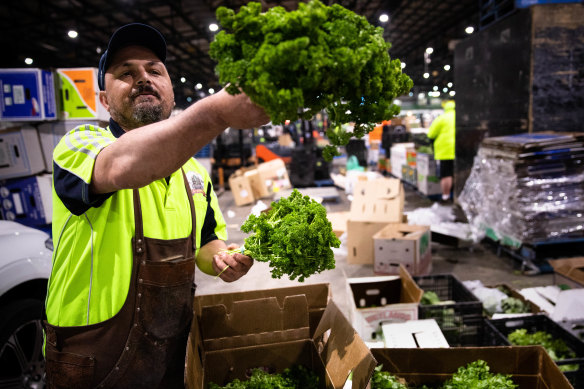 Brian Sammut inspects his produce at the growers market in Homebush West. 