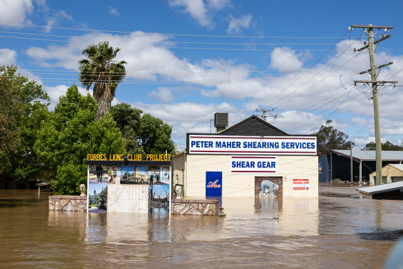 Flood waters in Forbes on Wednesday.