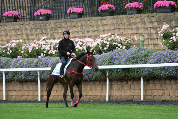 Romantic Warrior has had two looks around Moonee Valley with jockey James McDonald.