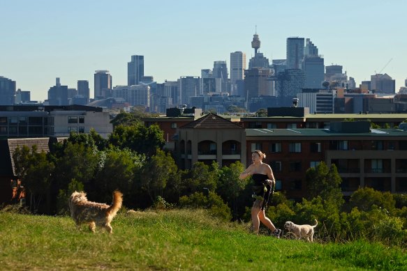 A lap of Sydney Park does wonders for the mind.