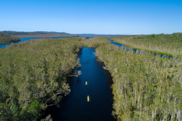 Kayak through one of only two everglades on Earth.