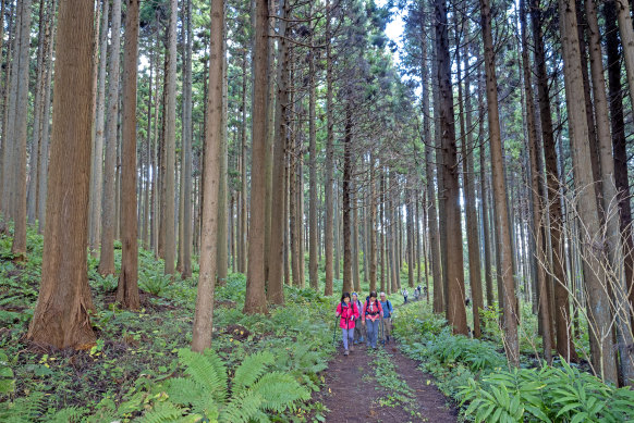 Tall stories … hikers on the Michinoku Coastal Trail.
