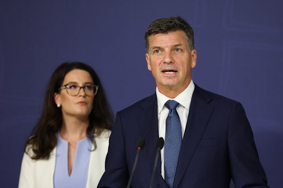 Liberal leader Angus Taylor and Senator Claire Chandler at Tuesday’s press conference.