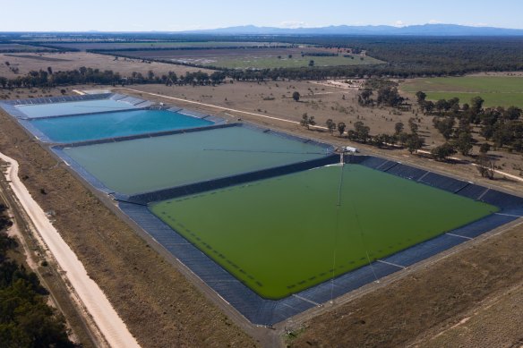 Water treatment dams for the brine removed from drill sites on the edge of the Pilliga.