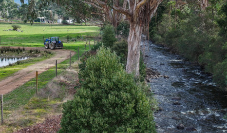 Cattle station owner Greg Salter has been fighting to install a hydroelectric power station on his side of the river for 11 years.