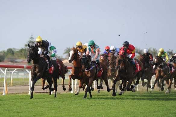 Racing returns to Taree on Tuesday with a competitive seven-race card.