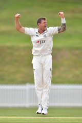 James Pattinson celebrates a wicket.