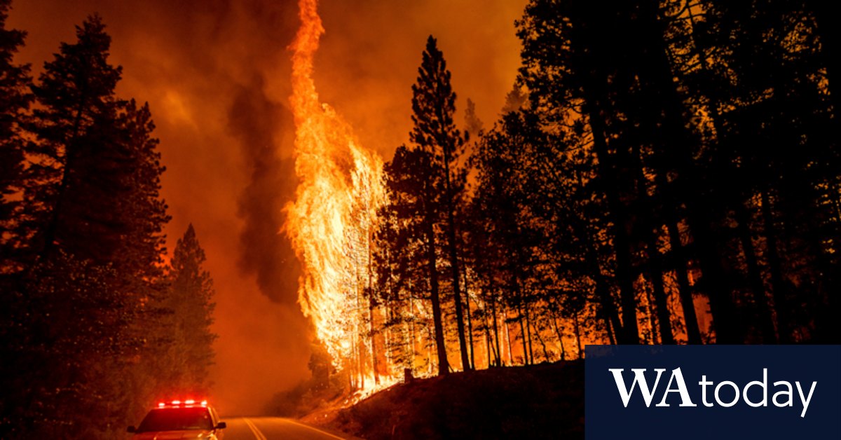 Carbon offset forests burn in US fires, raising doubts over climate credits - Vimarsana News