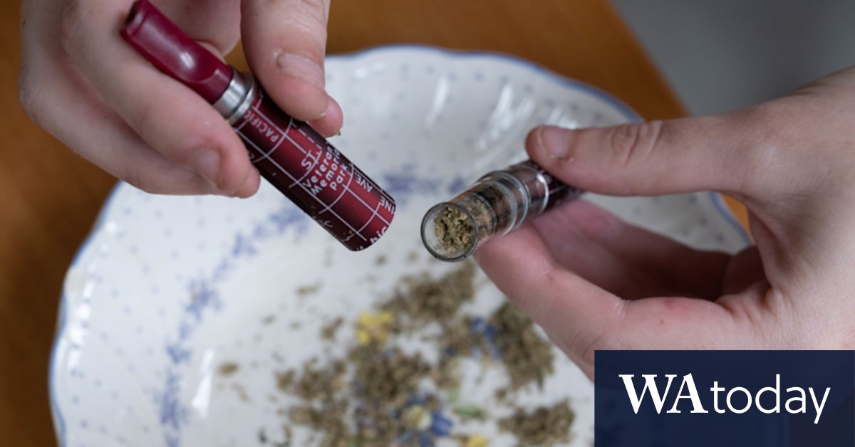 Medical cannabis boom: Therapeutic Goods Administration raises oversight fears - Vimarsana News